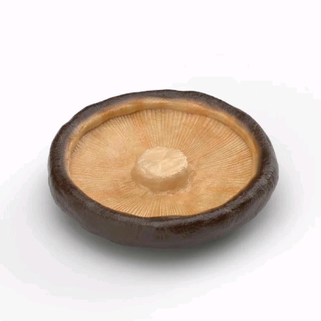小鸭呷呷