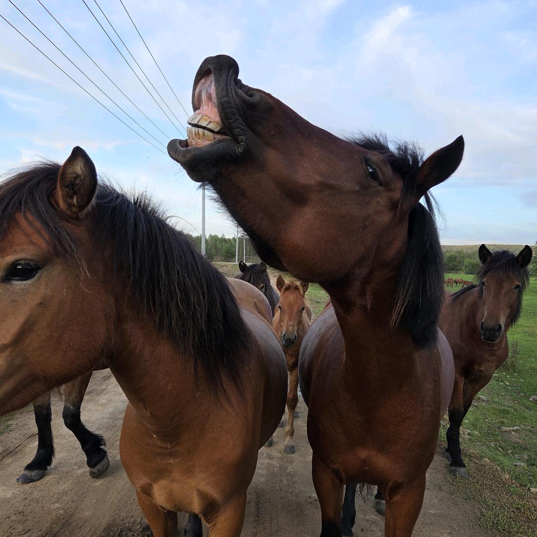 哼╯^╰关你屁事