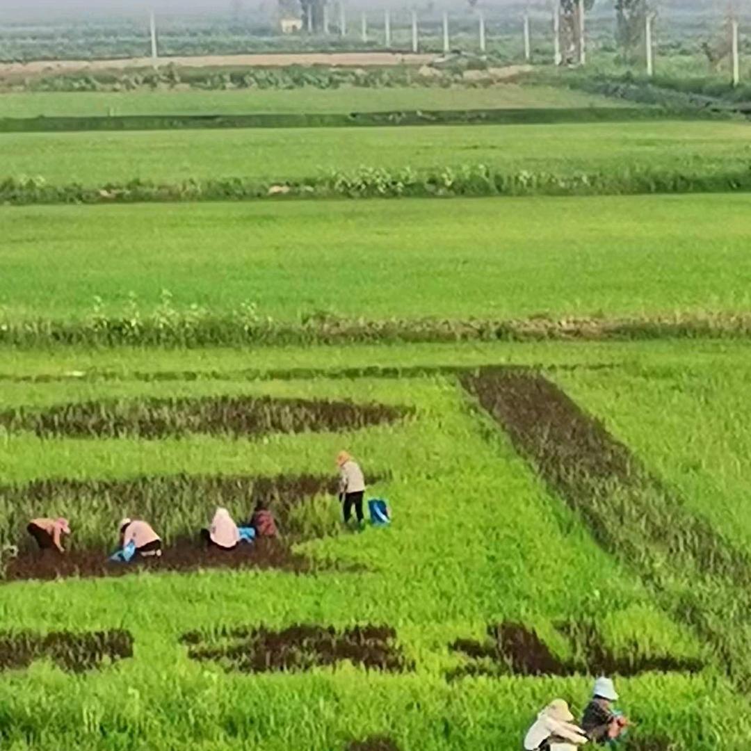 我为岁月斟满一杯酒