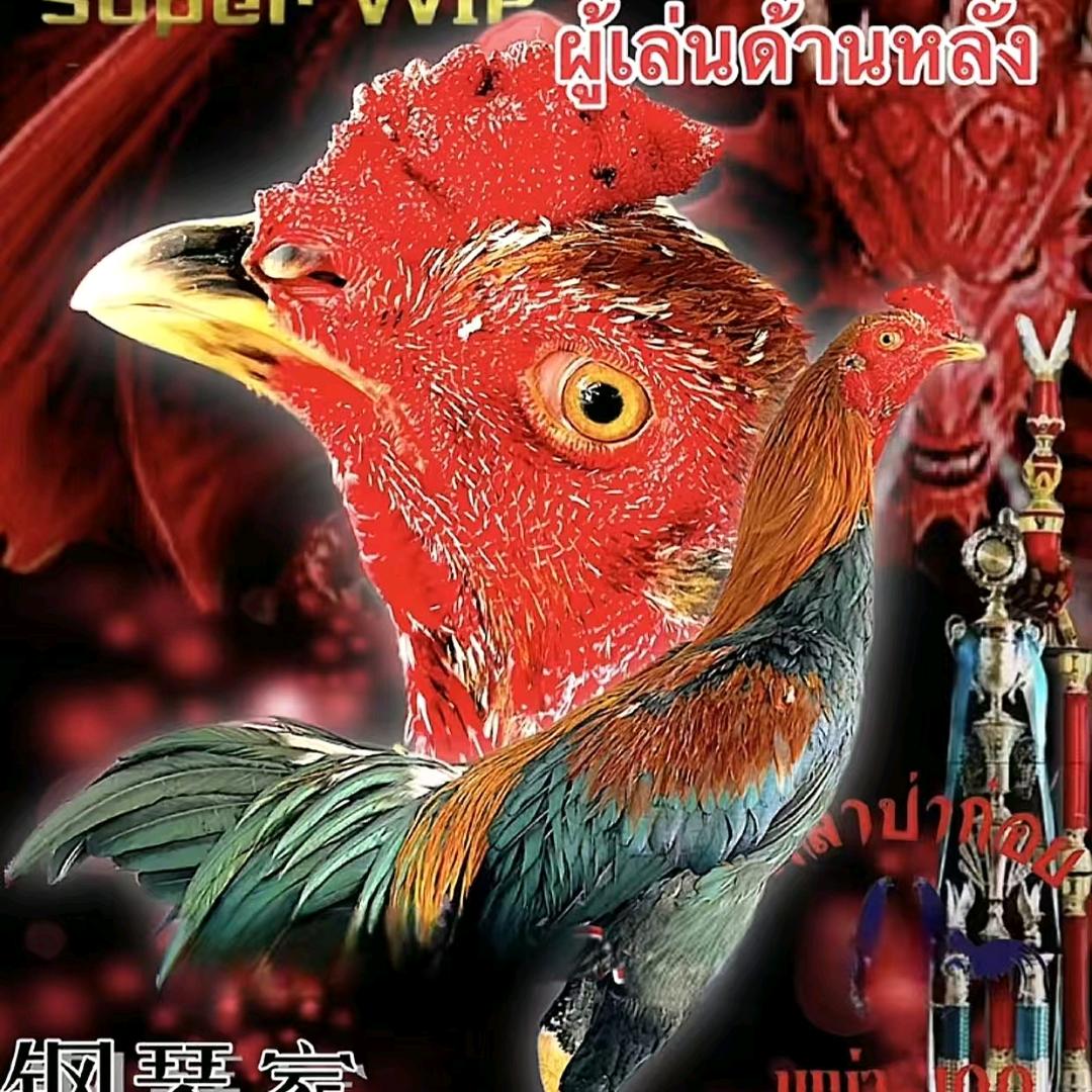 🐔招🐔财🐔