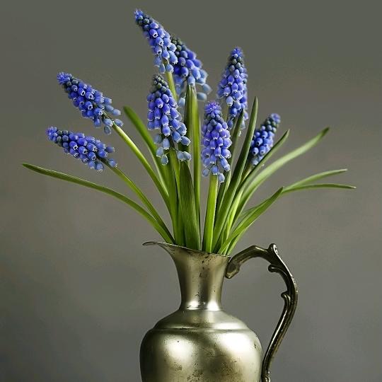 老四小号🌹师傅季总