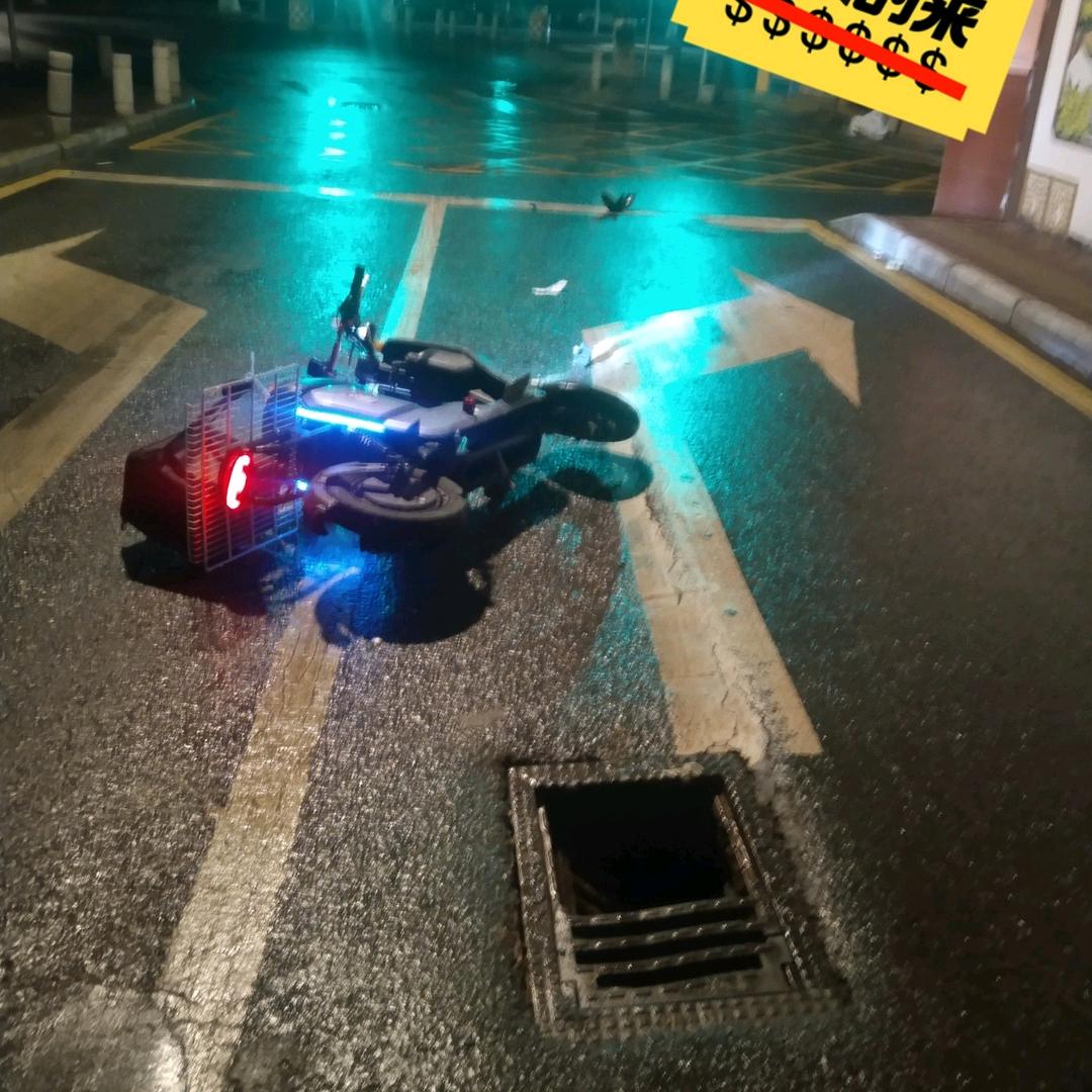树欲静