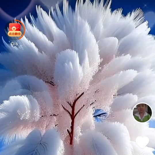 做好自己别人爱怎么看就怎么看