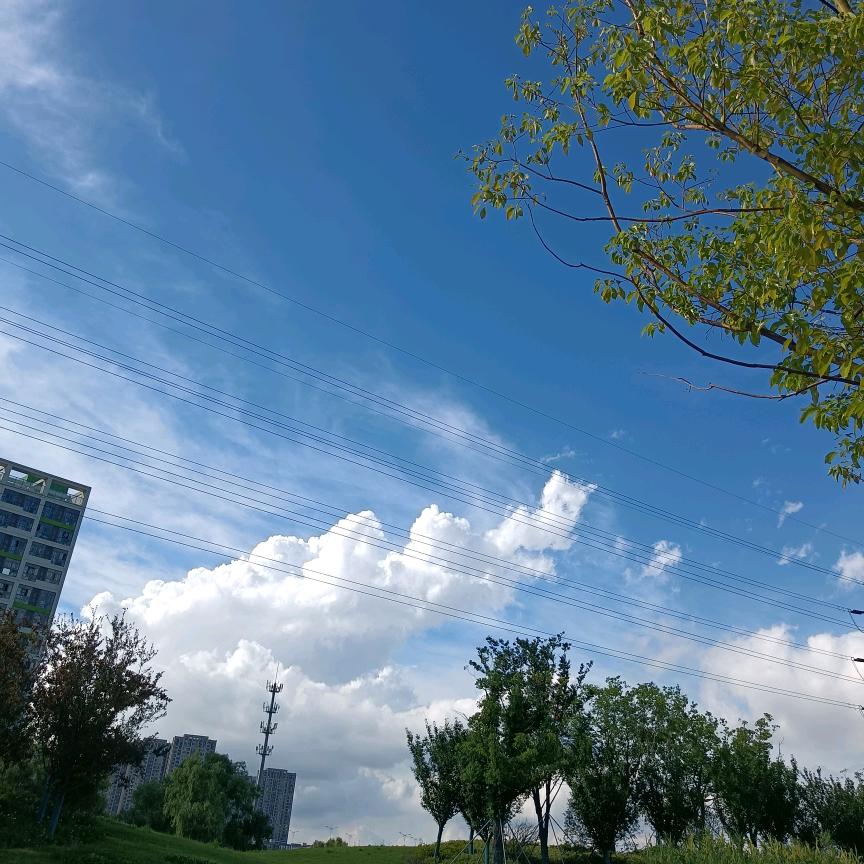 @香楠