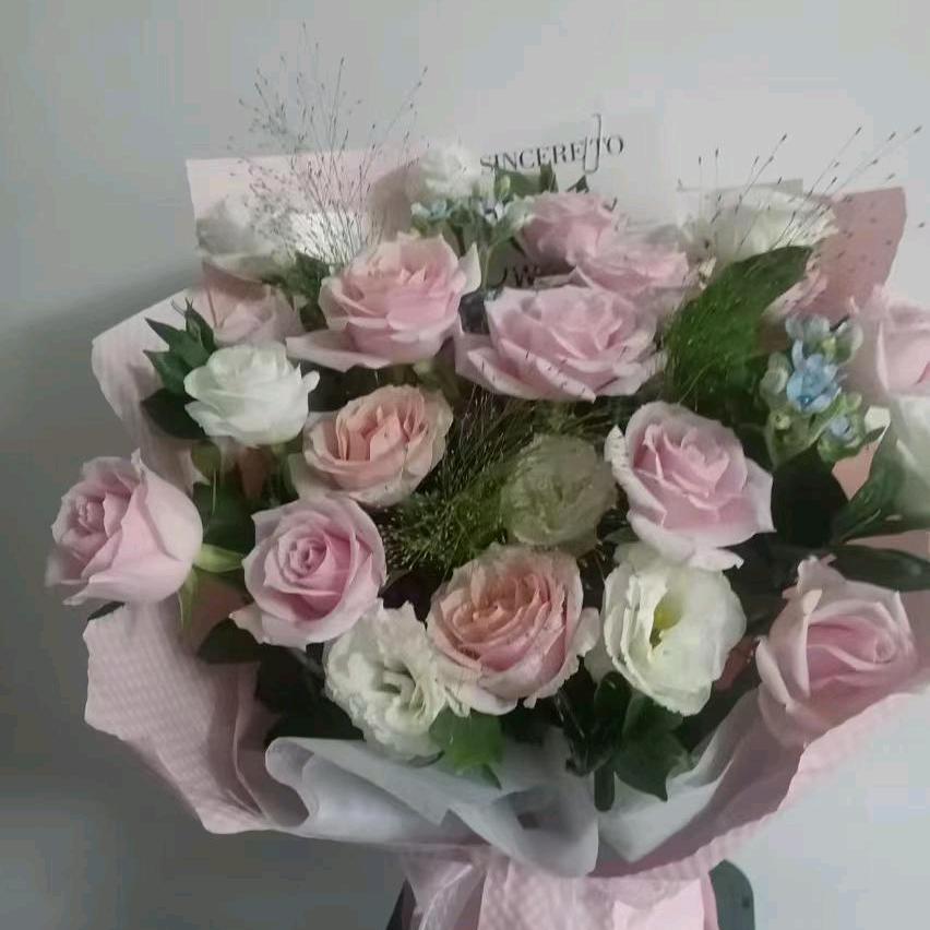 小宝贝:一切如愿