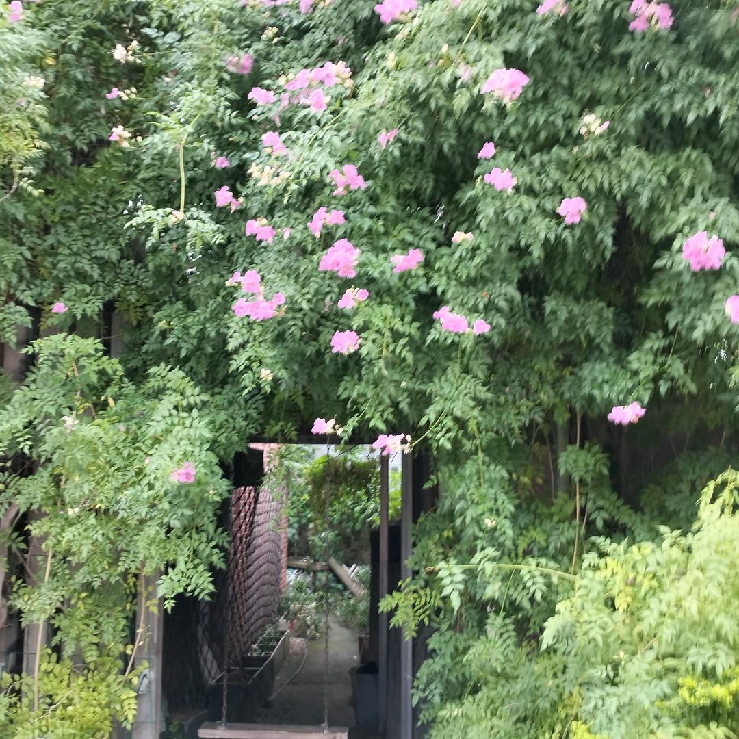 平平淡淡才是福