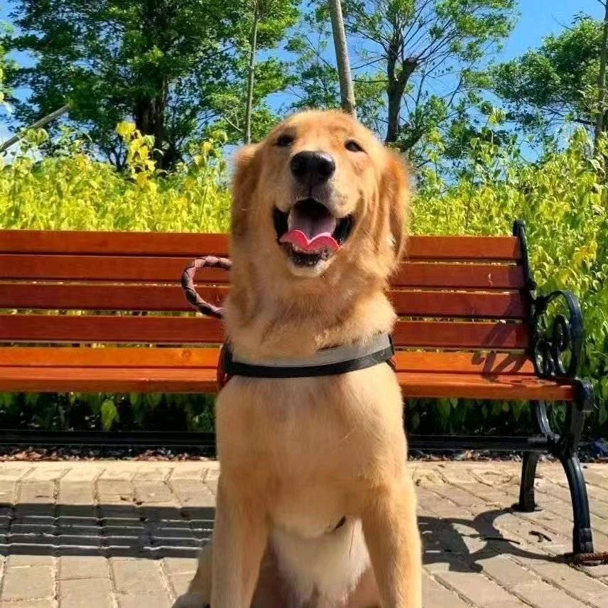 AA广西川桂铝业有限公司