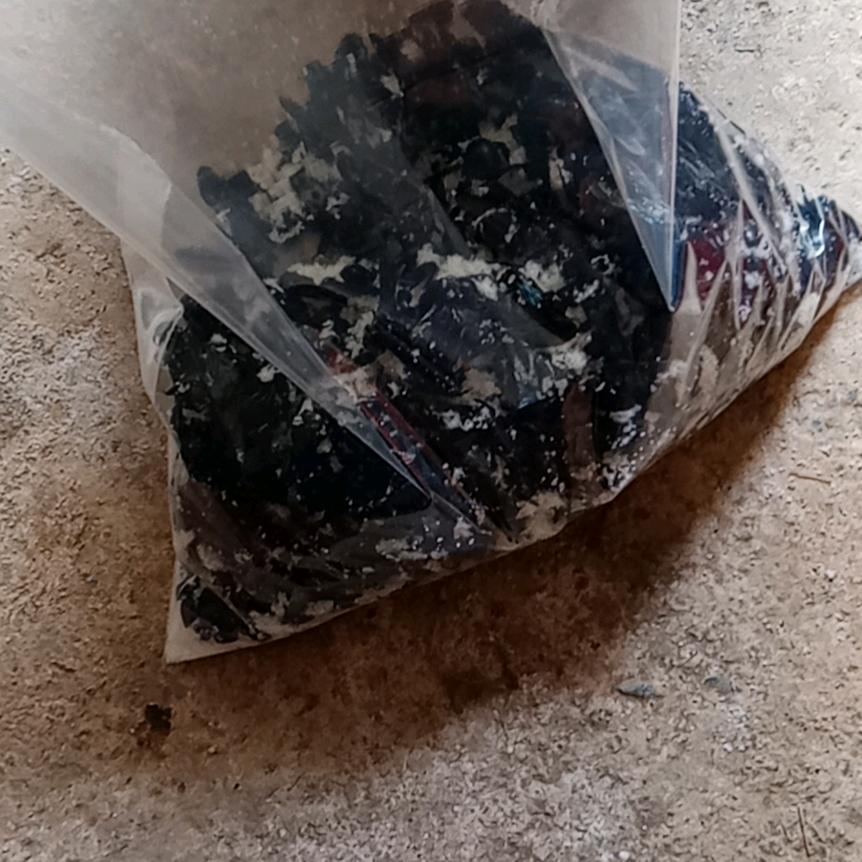 石上莲土特产中草药