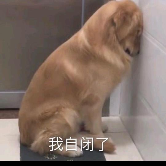 增肌钟