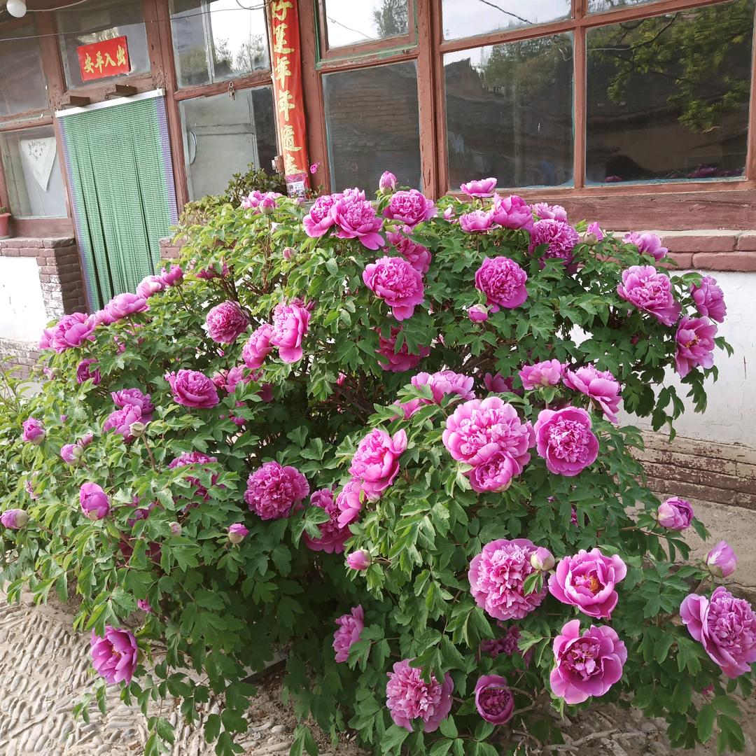 河北吴公