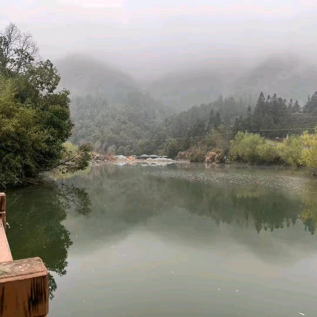 柒爷