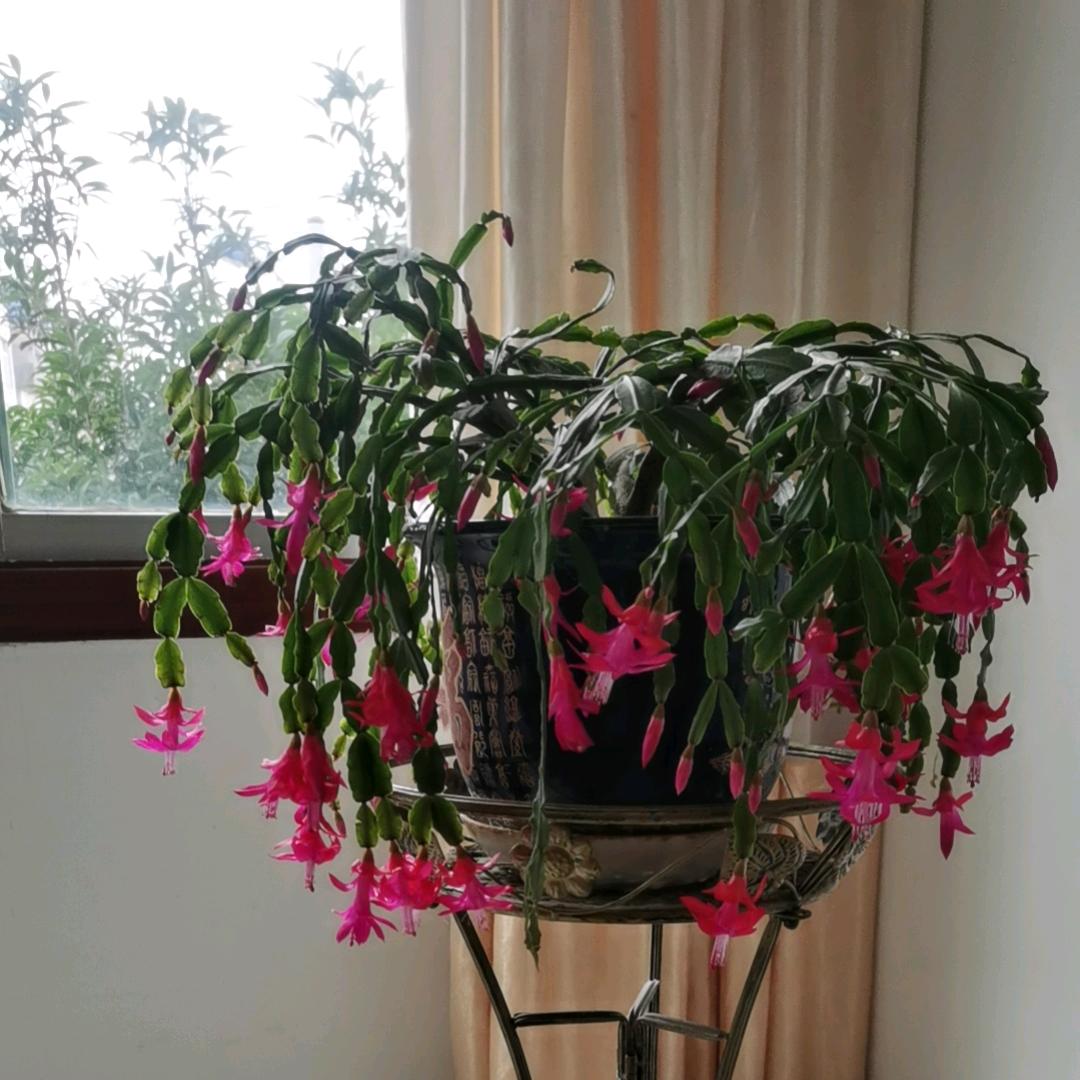 有你幸福的