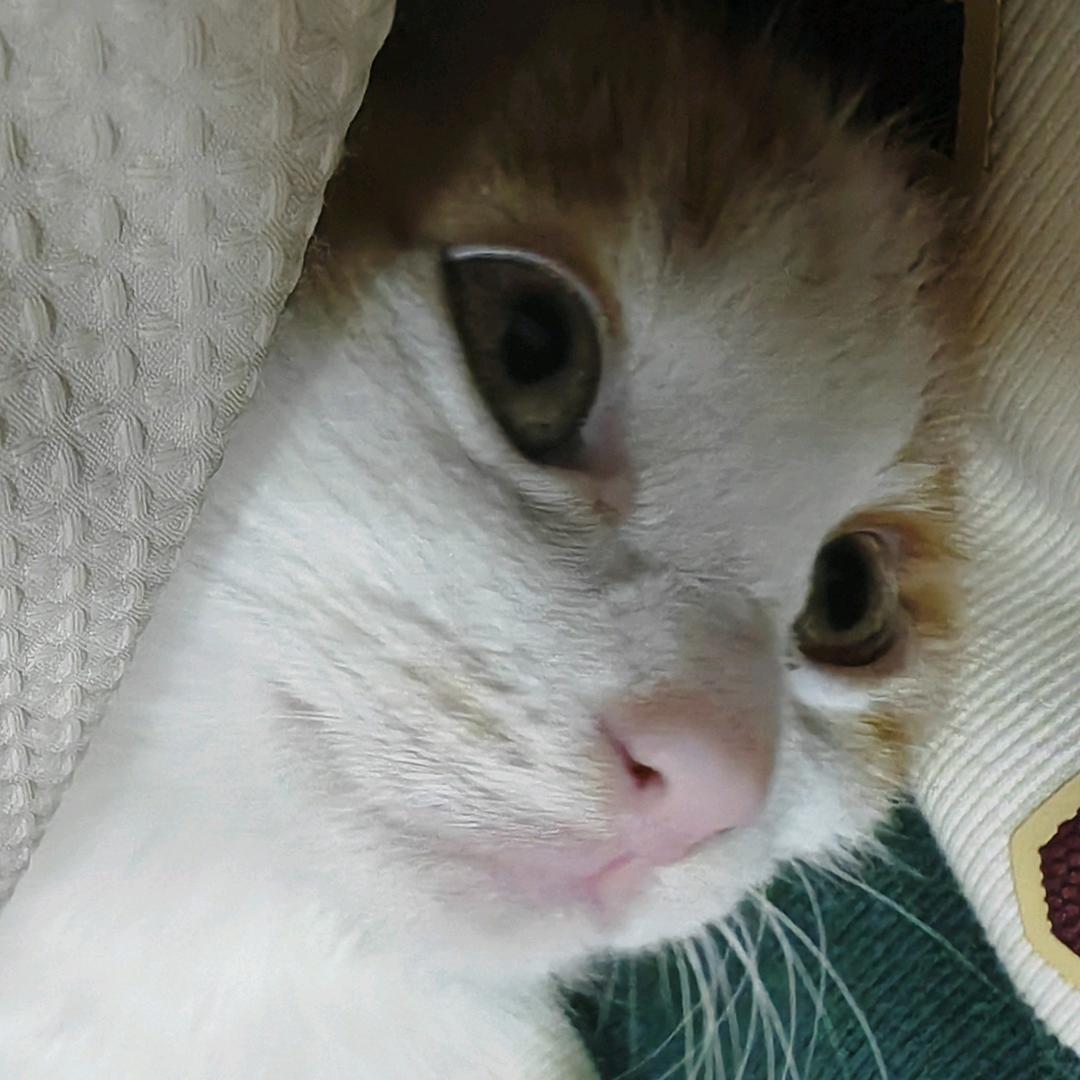 。。