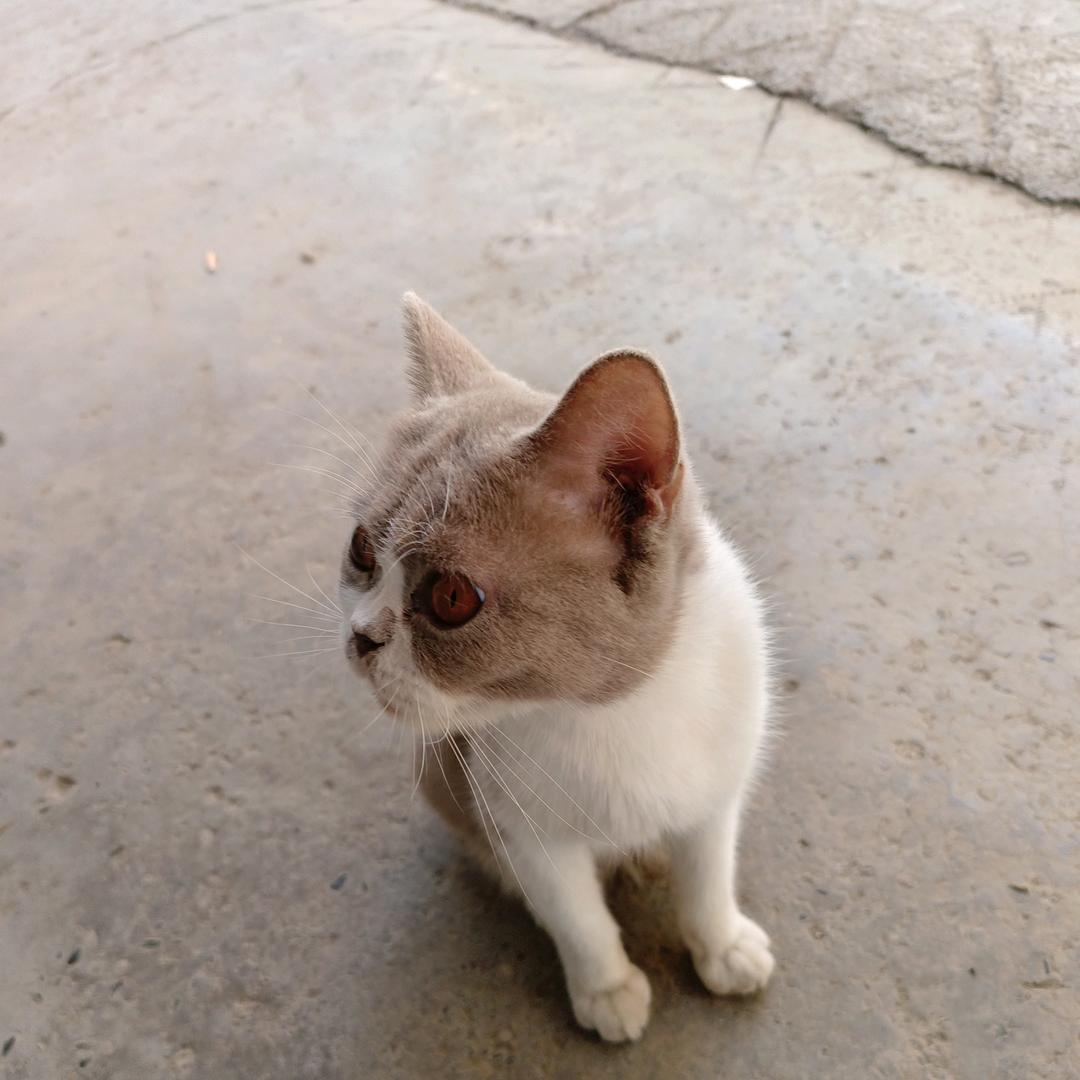我们俩&