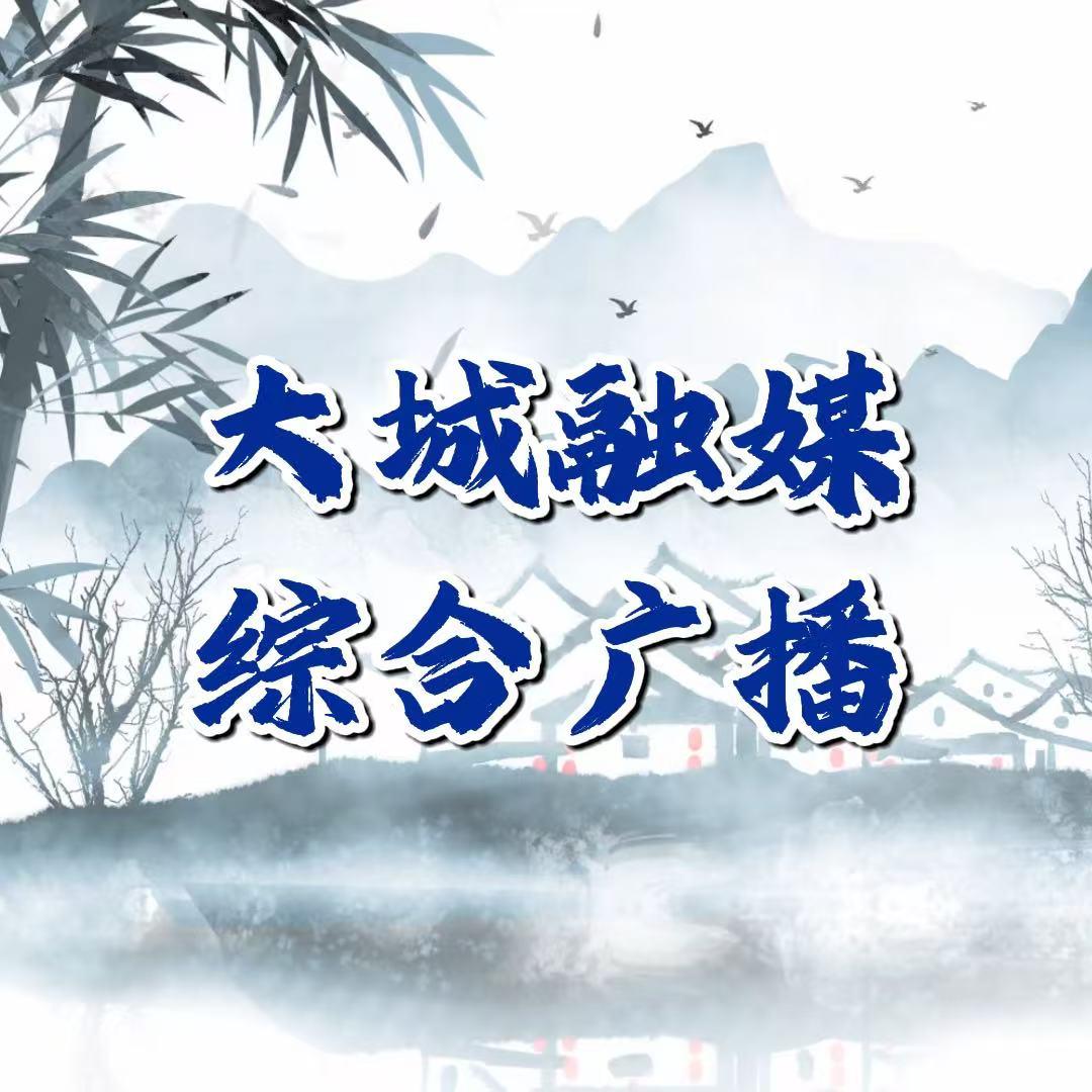 大城融媒综合广播频道