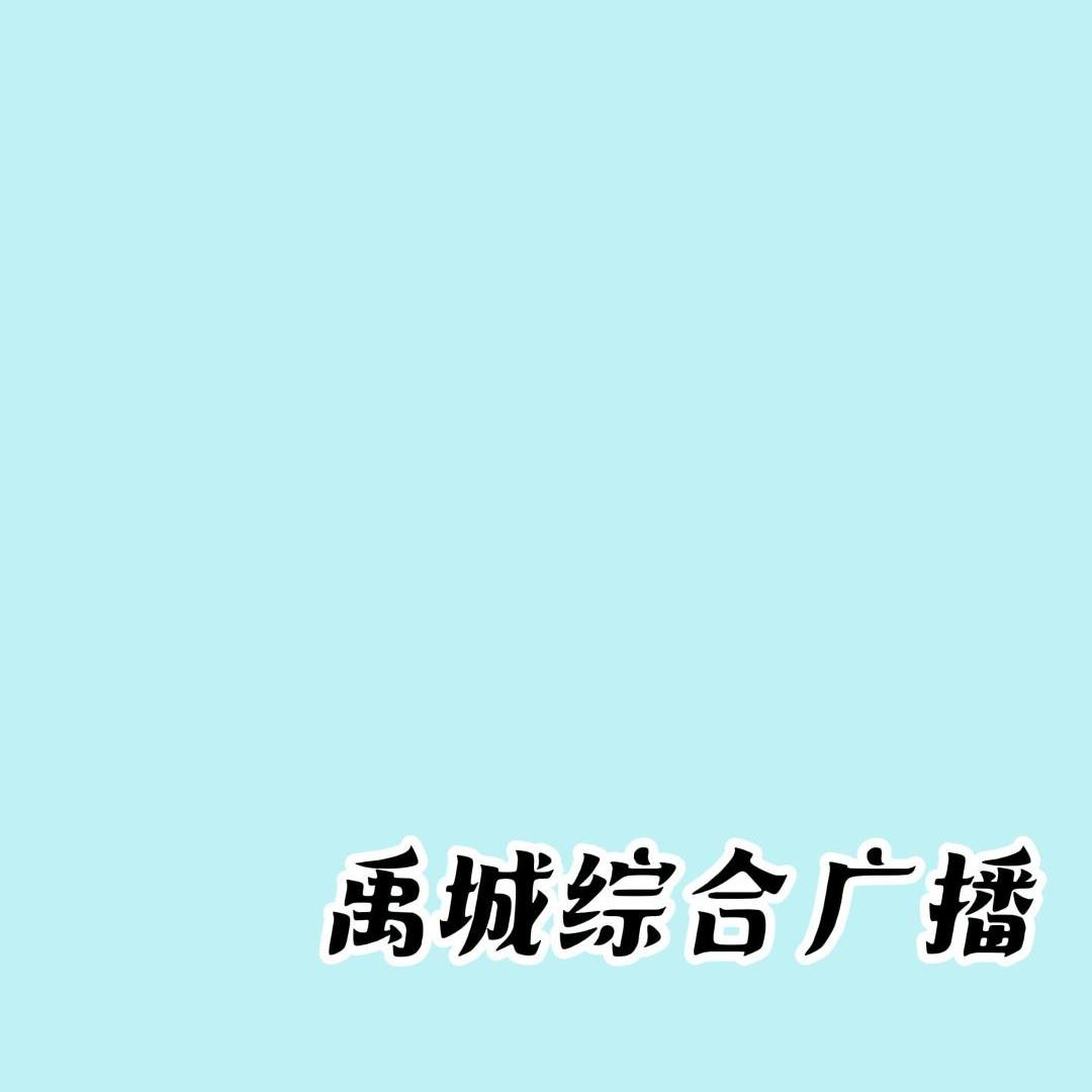 大禹之城