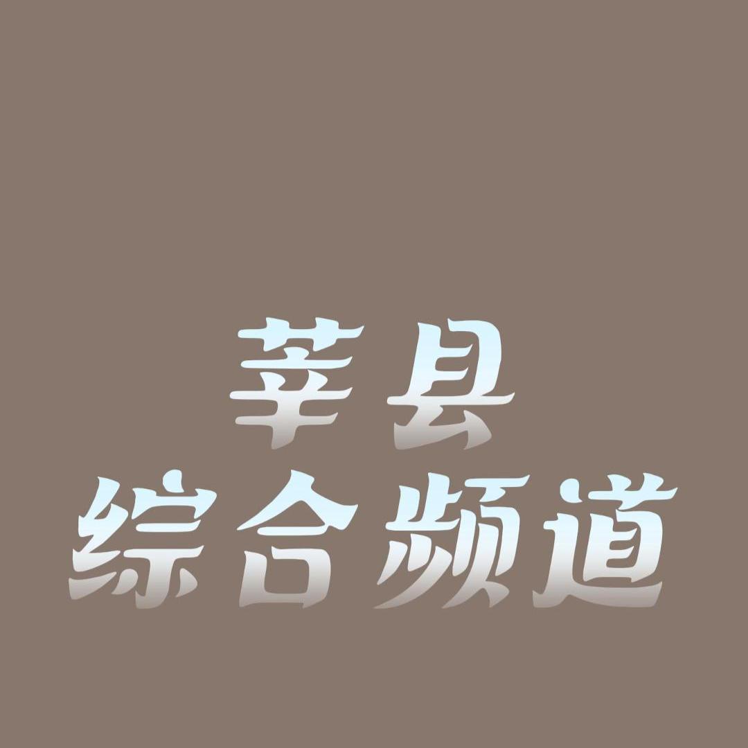 莘县电影综合频道