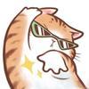 大橘说漫