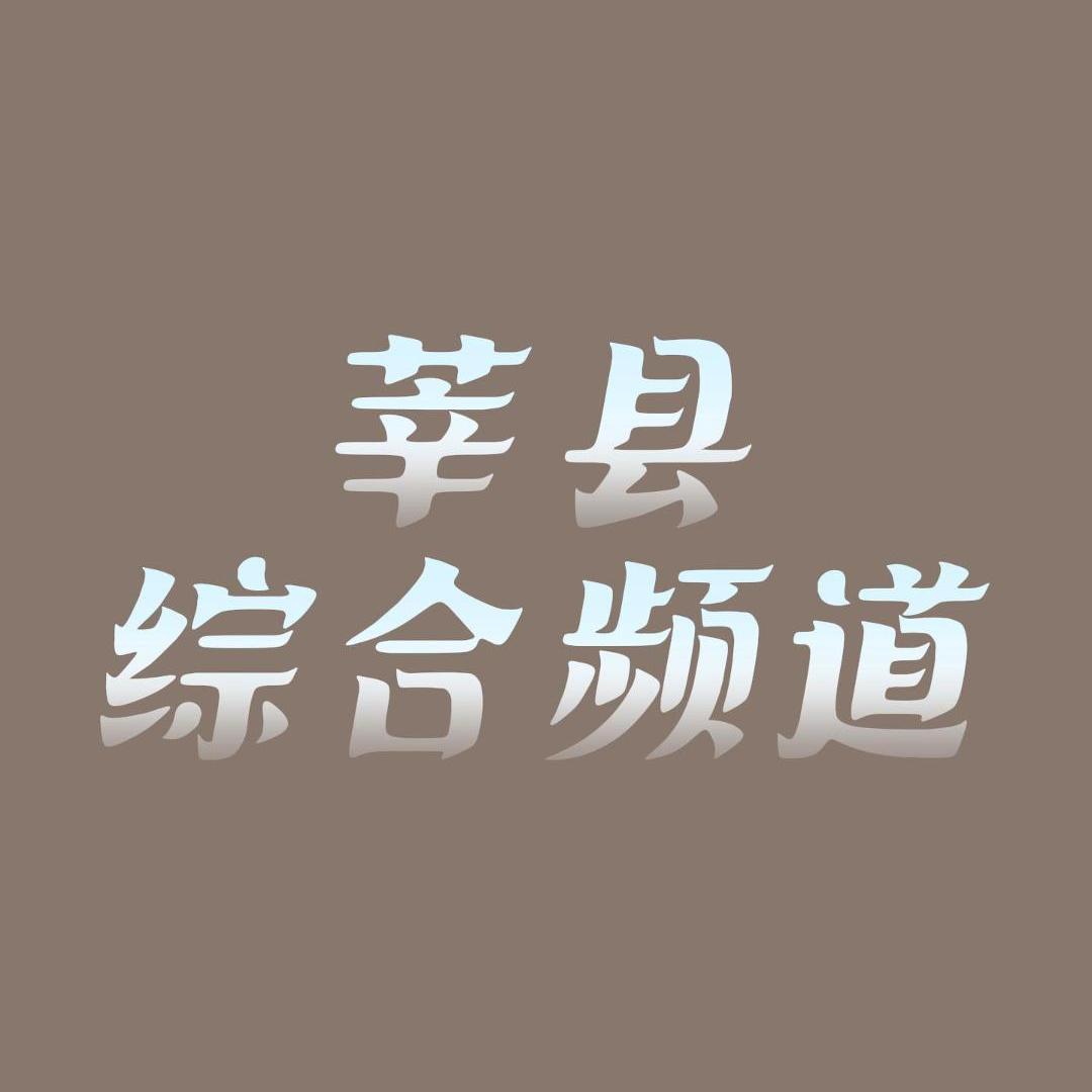 莘县电视台综合频道