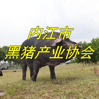 内江市黑猪产业协会