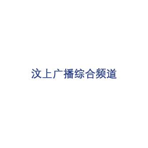 汶上广播综合频道
