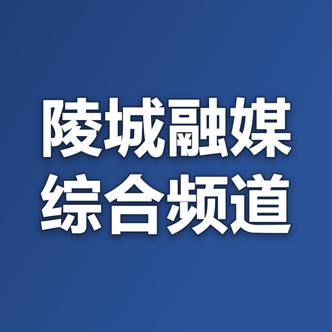 陵城区电视台综合频道