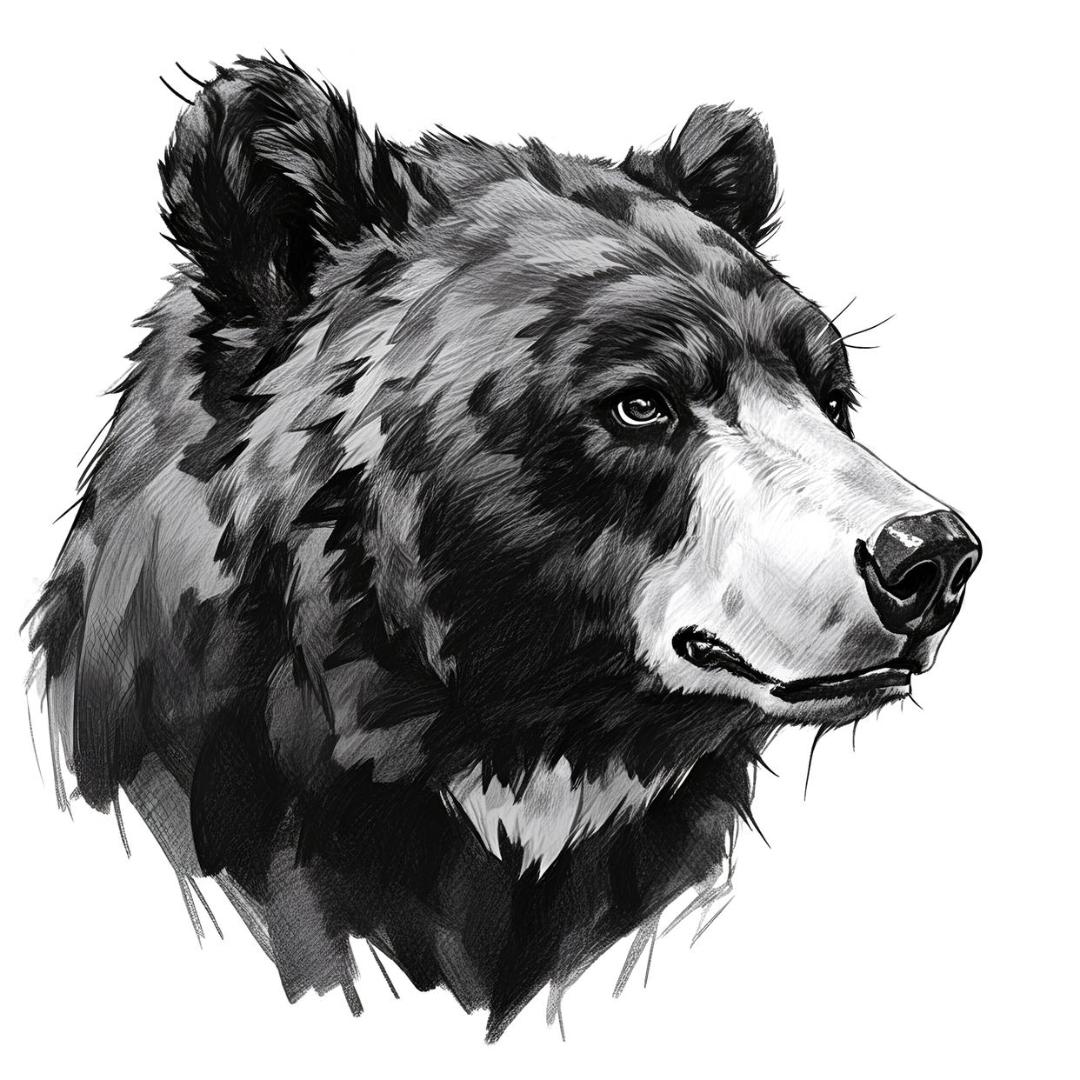 大熊工作室(三角洲行动）