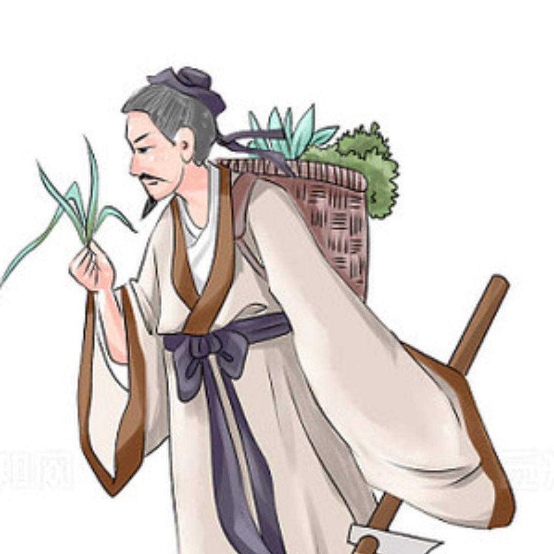 薹斢