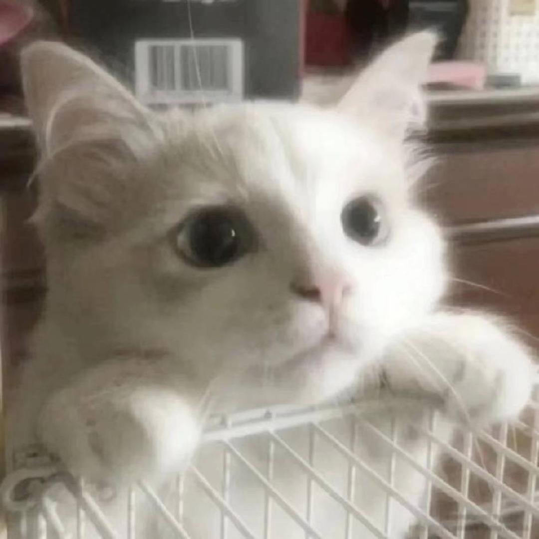 手搓二向箔