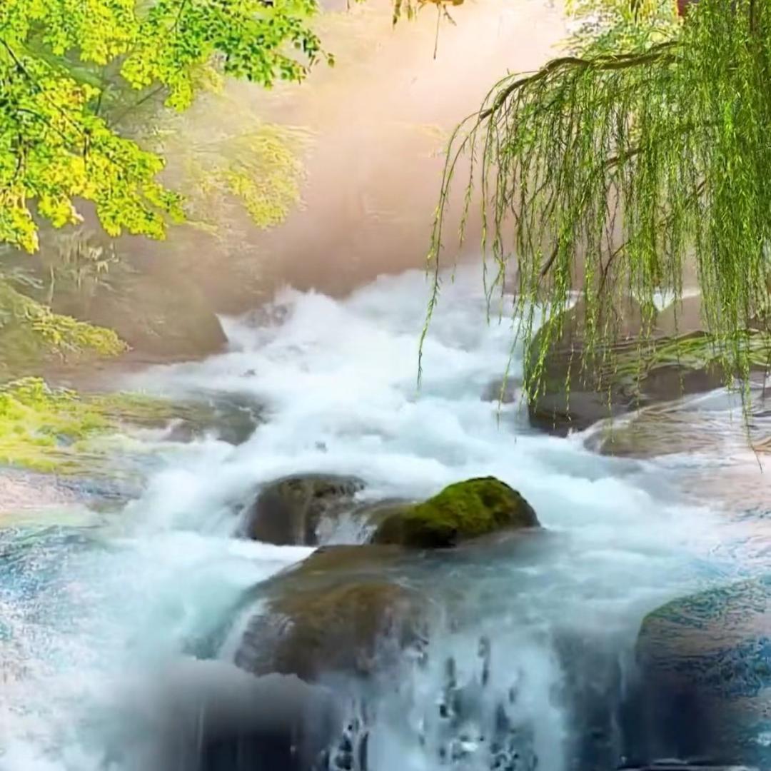 炉石传说一起玩！