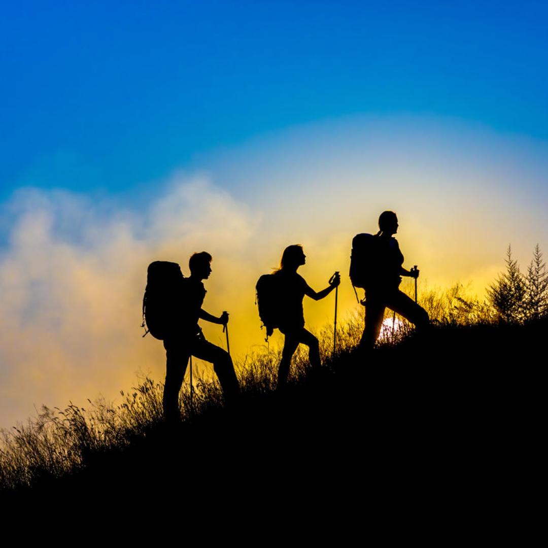 启云君的人性笔记