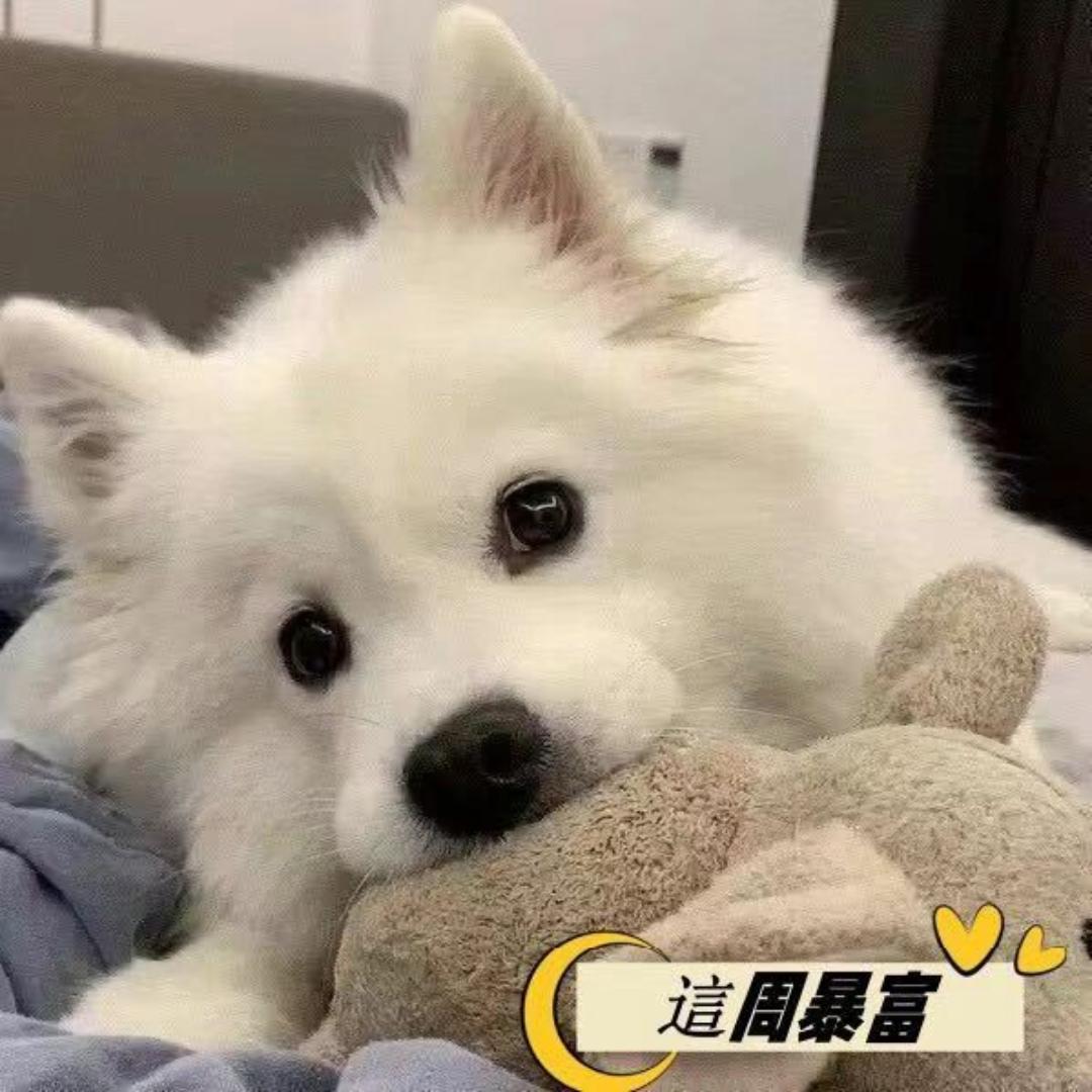 早晚💫
