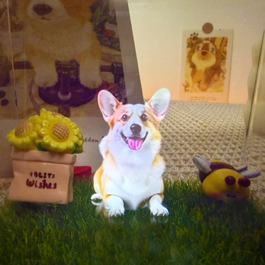 伴影科技ai宠纪念