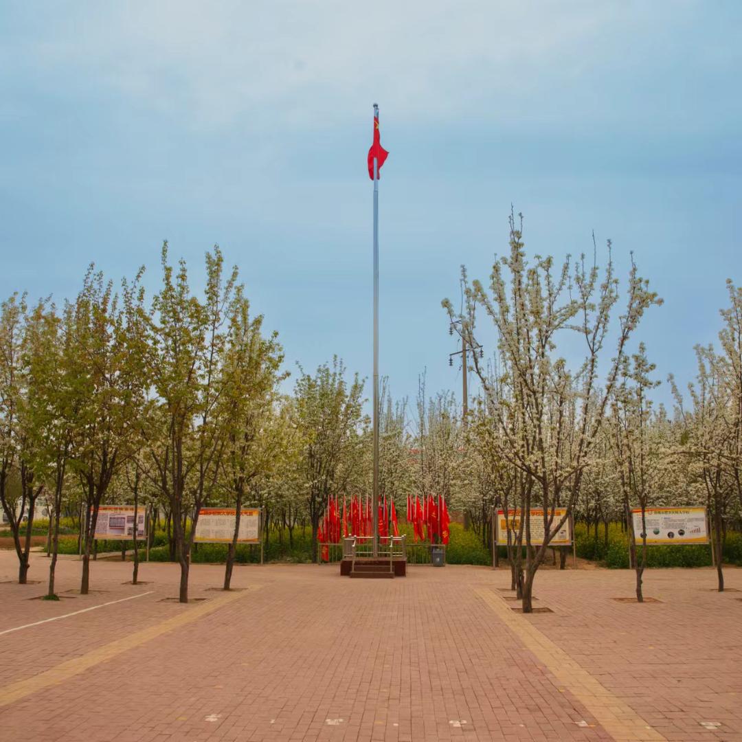 树人学校
