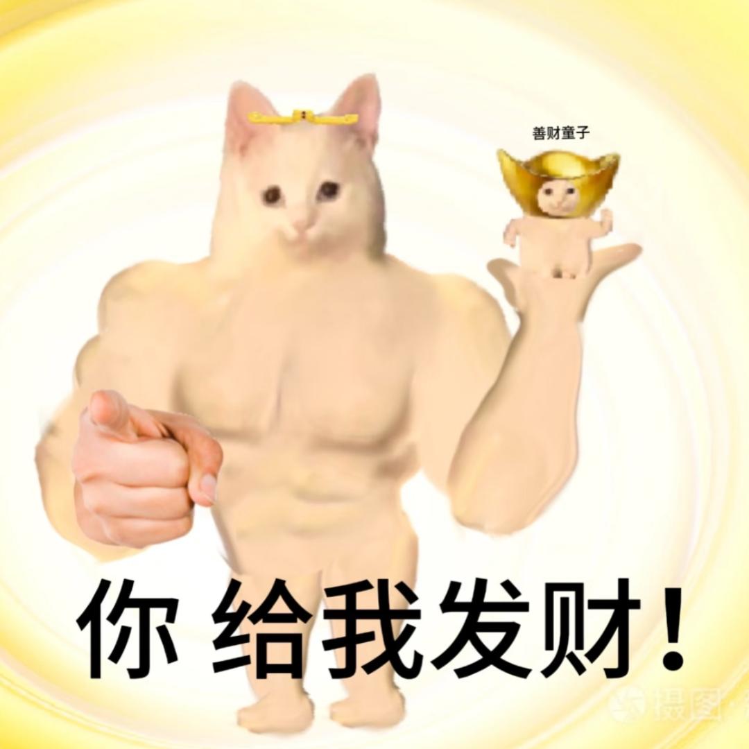 社会情报局