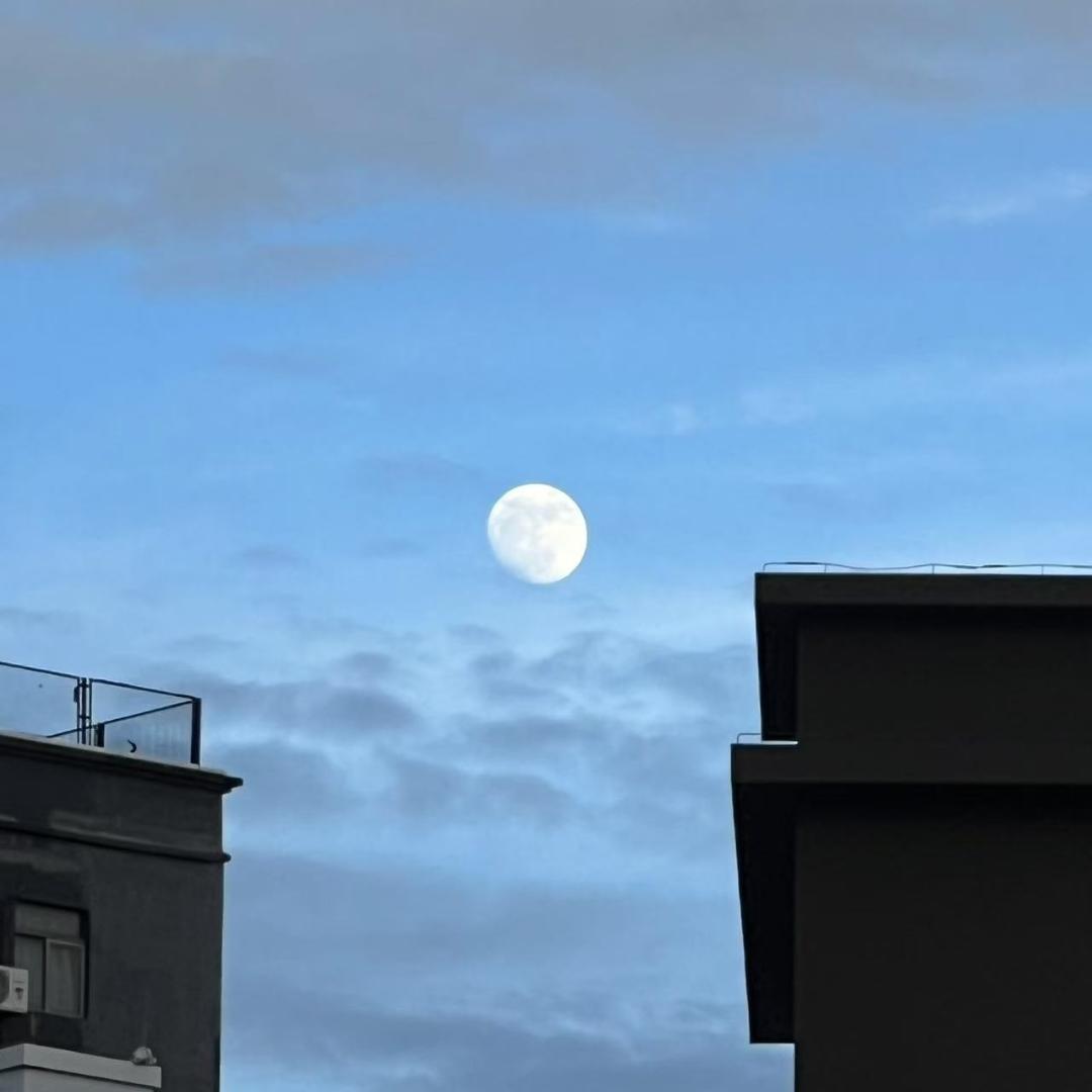 徐同学吃了吗