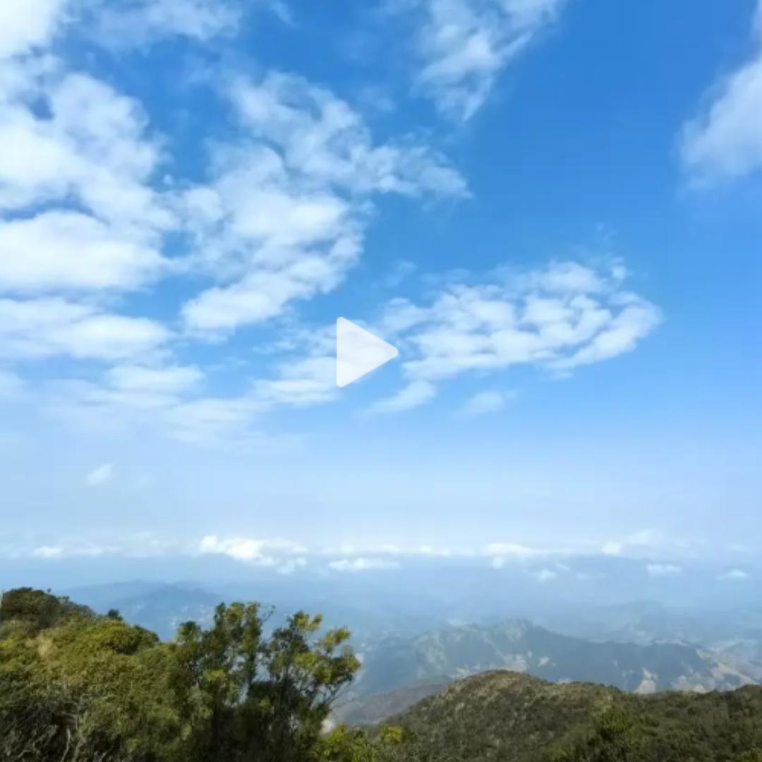 善良