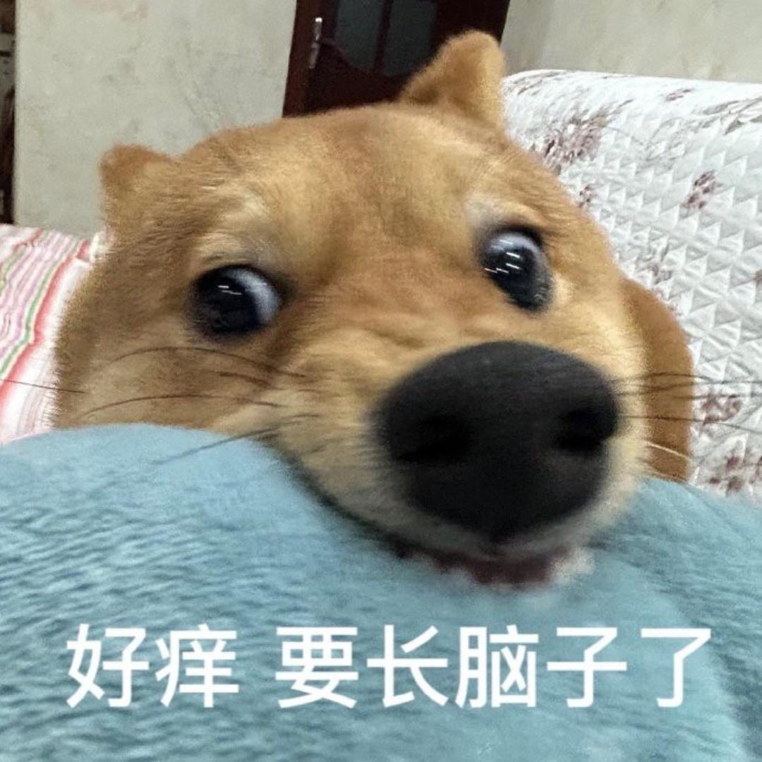 一箭参连
