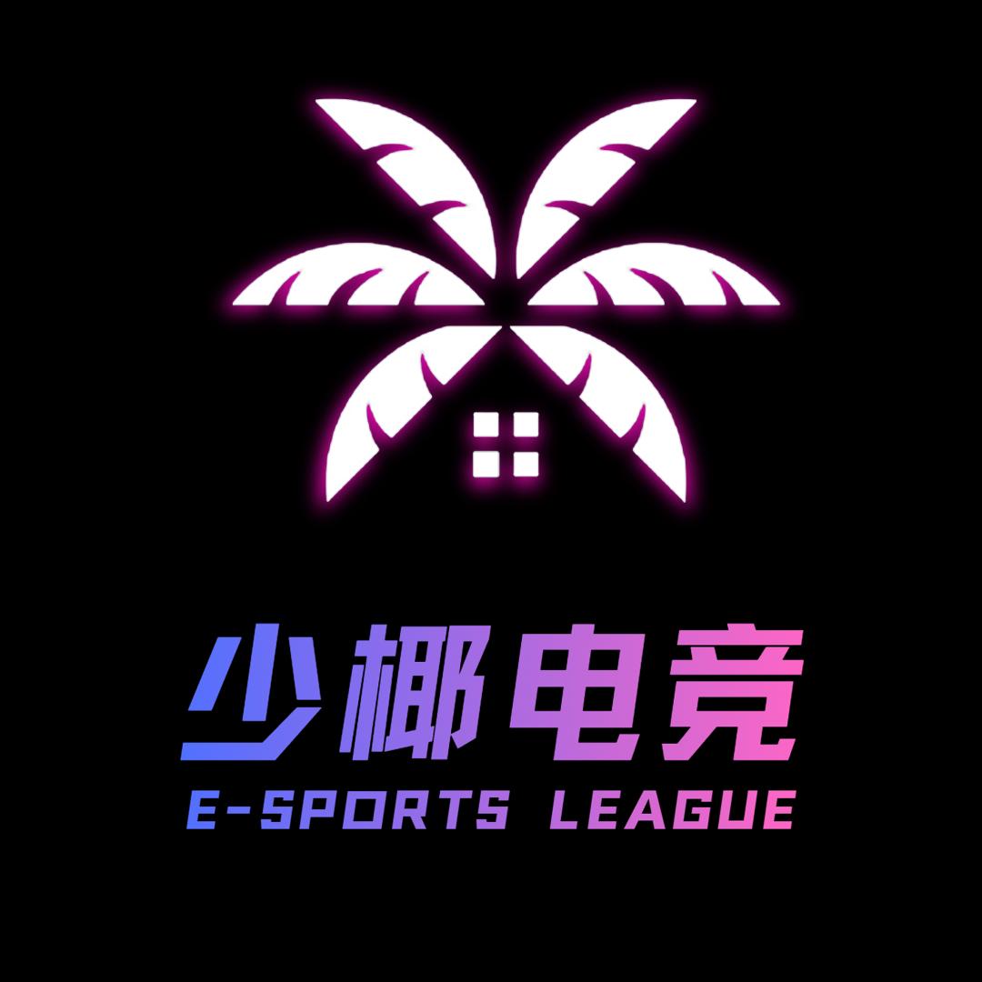 少椰电子竞技