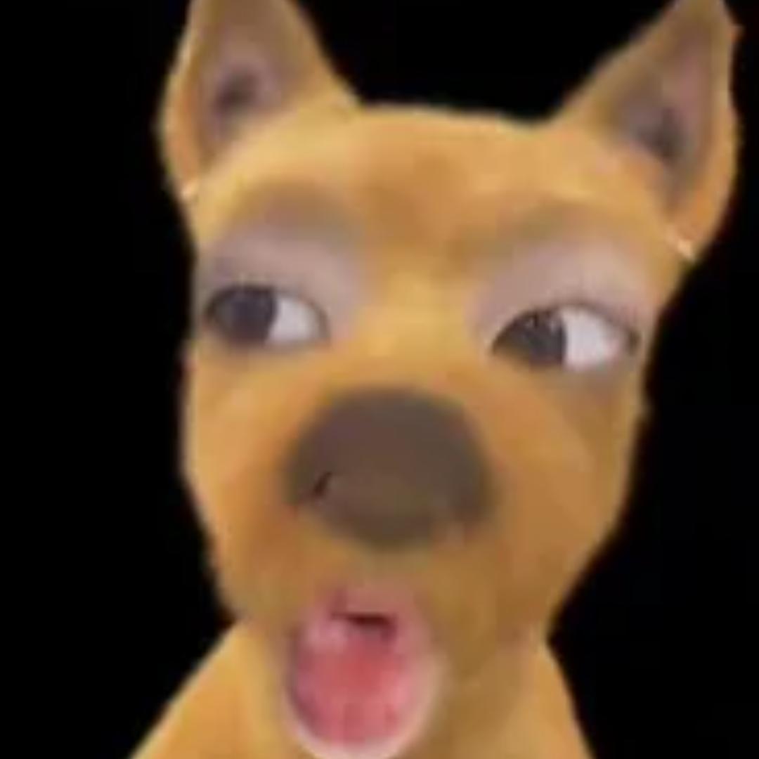 哈基涛