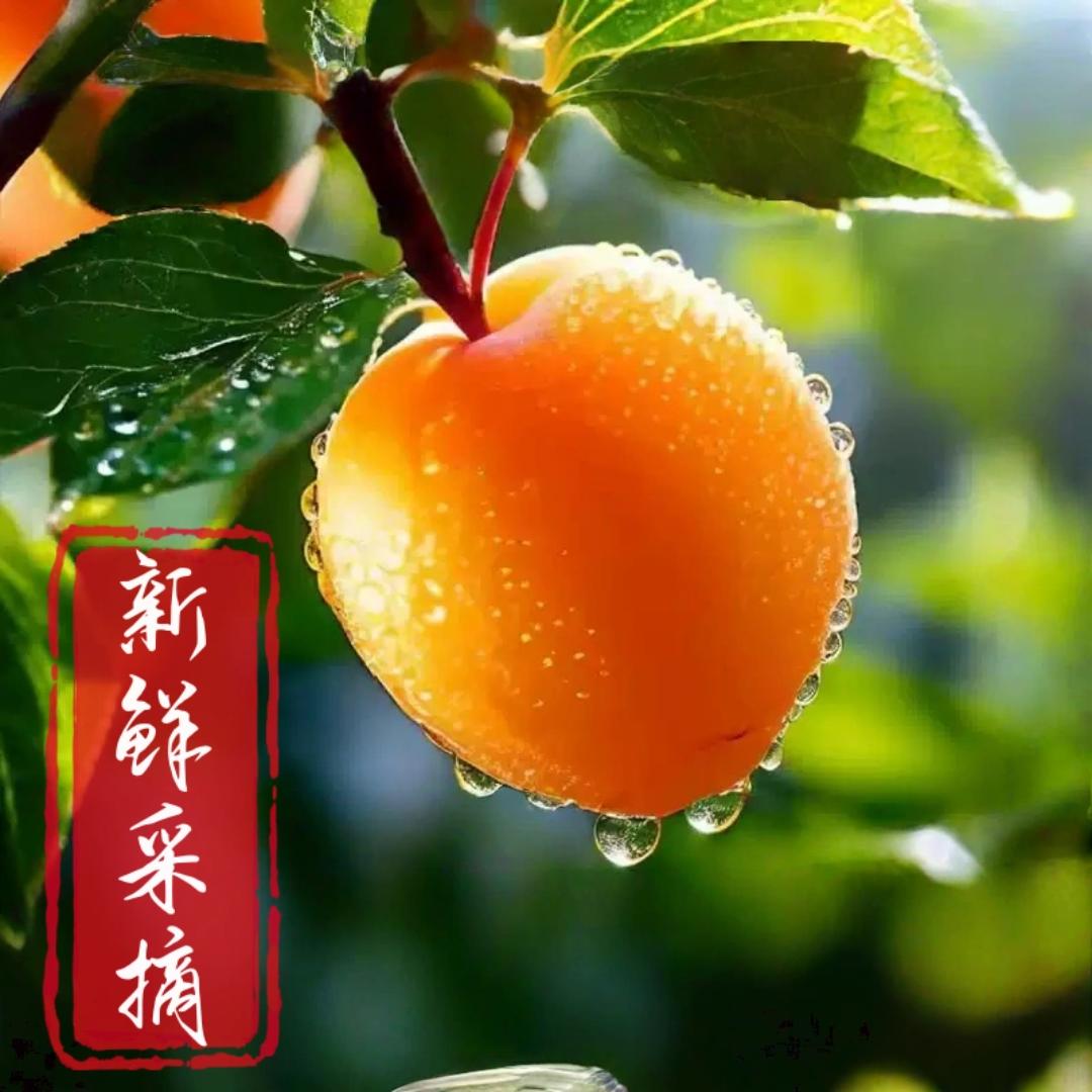 安先生果蔬优选