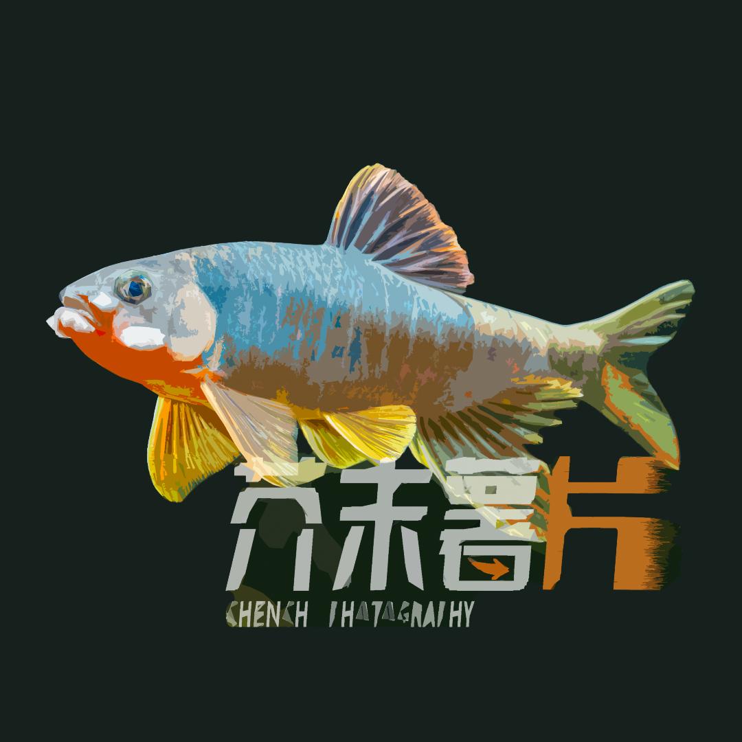 芥末薯片🐟CHENCH
