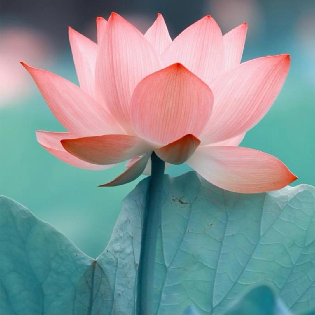 三生万物杂货铺