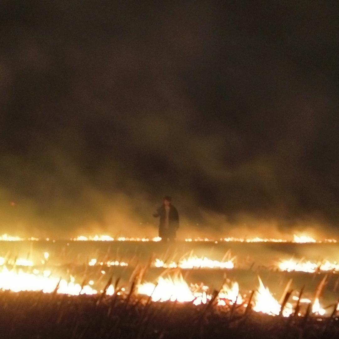 穷组导演不如狗