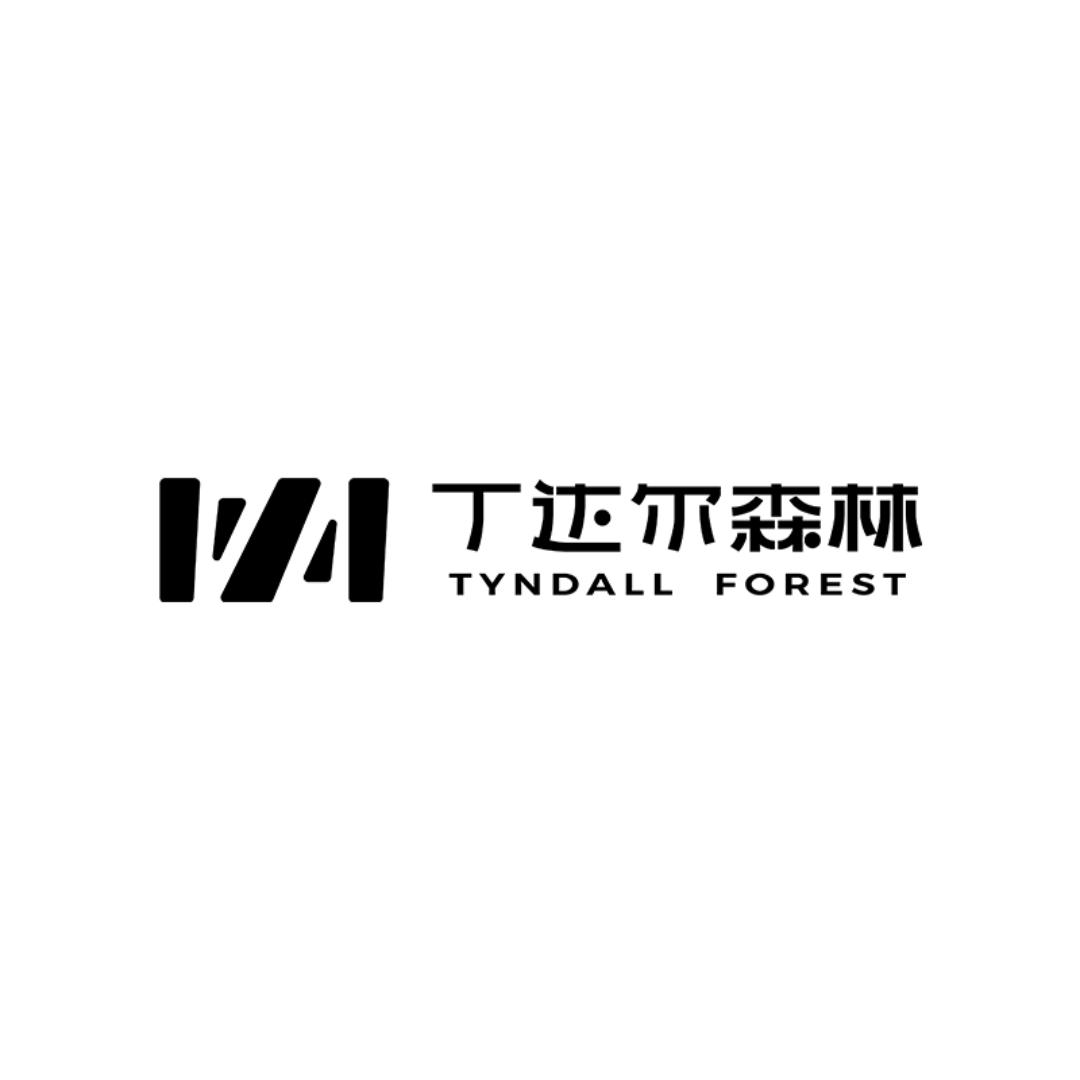 丁达尔森林室内懒人植物
