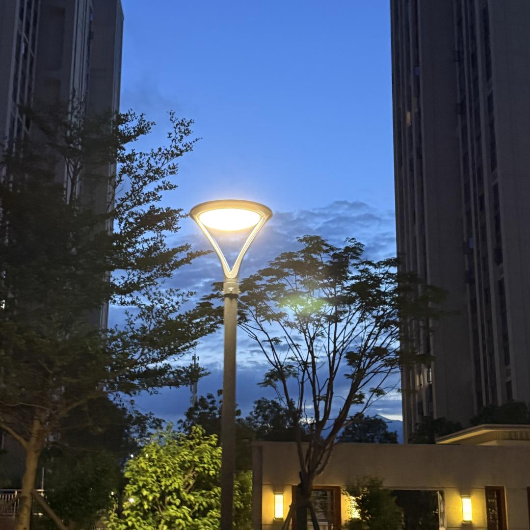 美洋新品穿搭吖.隐成