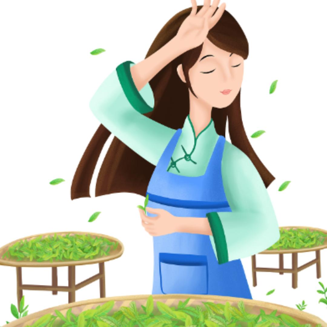 桓弛茶叶