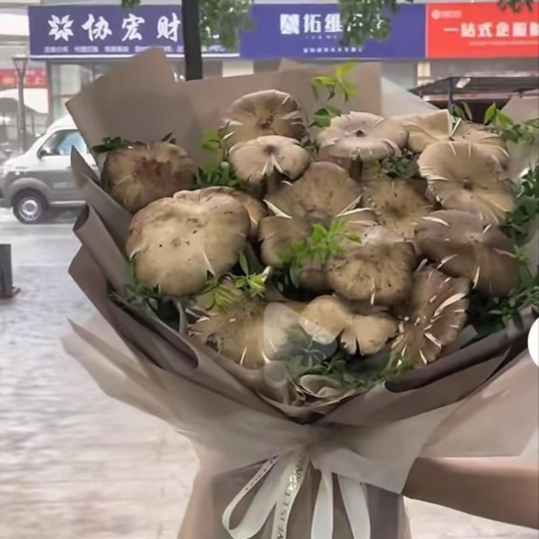 八三年的猪