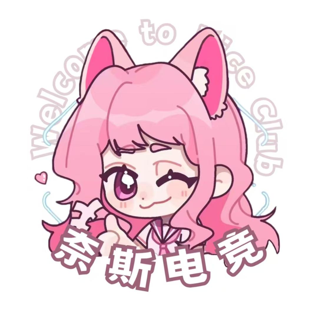 奈斯电竞（288保1314出心返刀皮）