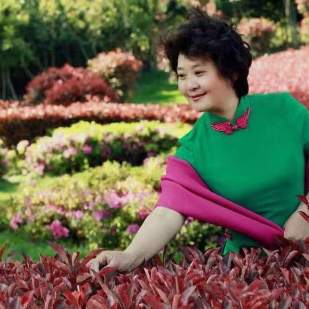 芳元藏茶